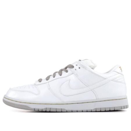 Nike Dunk SB Low 'Medicom 4' 313170-111