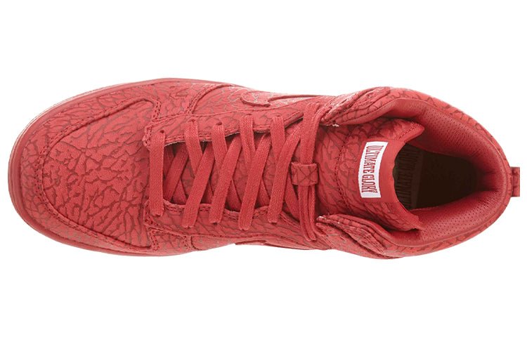 Nike Dunk High Premium 'Ultimate Glory' 323955-661 - Image 3