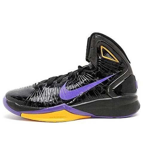 Nike Hyperdunk 2010 'Varsity Purple Del Sol' 407625-003
