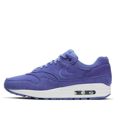 (WMNS) Nike Air Max 1 Premium 'Purple Suede' 454746-502