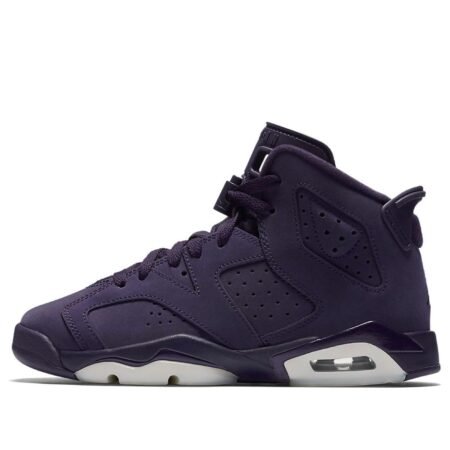 (GS) Air Jordan 6 Retro 'Purple Dynasty' 543390-509