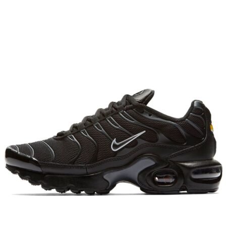 (GS) Nike Air Max Plus 'Black Pure Platinum' 655020-053