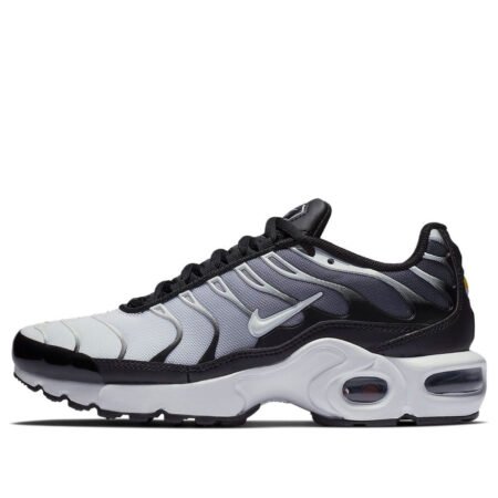 (GS) Nike Air Max Plus 'Black White' 655020-077