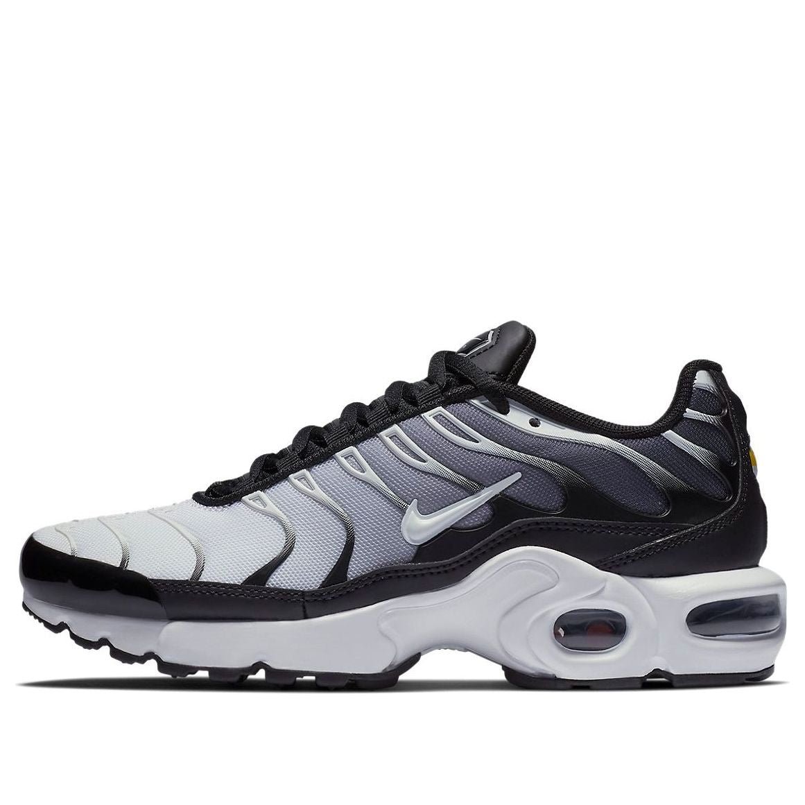 (GS) Nike Air Max Plus 'Black White' 655020-077