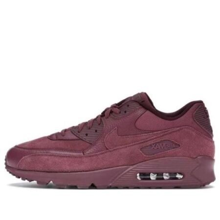 Nike Air Max 90 'Vintage Wine' 700155-601