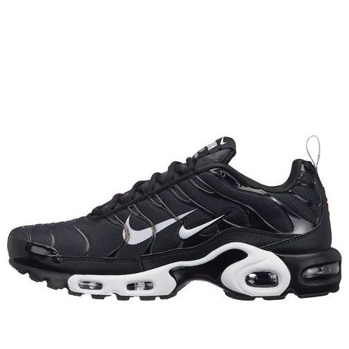 Nike Air Max Plus Premium 'Overbranding' 815994-004