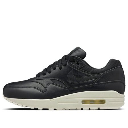 (WMNS) Nike Air Max 1 Pinnacle 'Black Sail' 839608-003