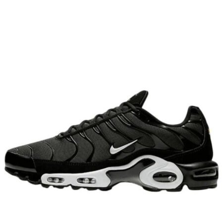 Nike Air Max Plus 'Black Sequoia' 852630-031