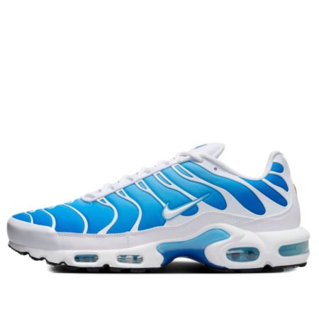 Nike Air Max Plus 'Sky Blue' 852630-411