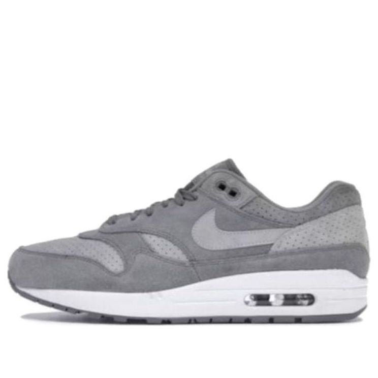 Nike Air Max 1 'Cool Grey Wolf Grey' 875844-005