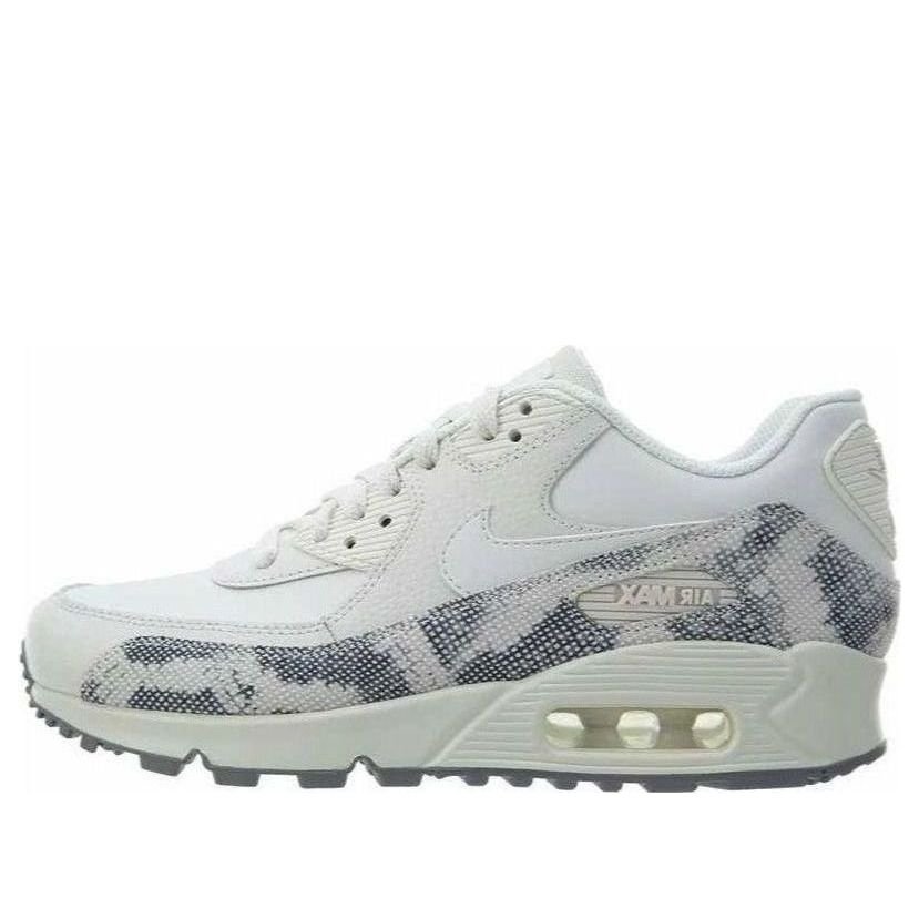 (WMNS) Nike Air Max 90 'Phantom' 896497-007