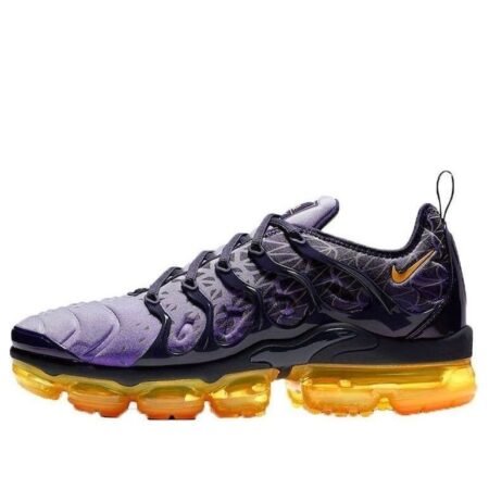 Nike Air VaporMax Plus 'Indigo Storm' 924453-406