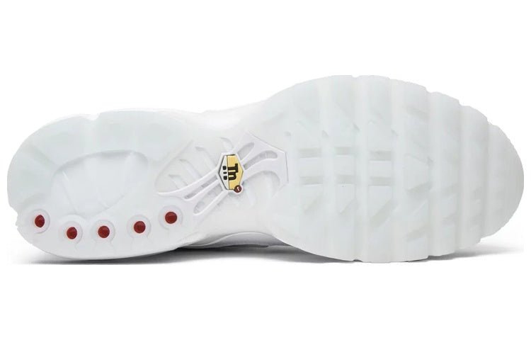 Nike Air Max Plus 'International Flag' AO5117-100 - Image 4