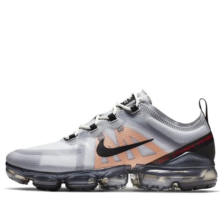 Nike Air VaporMax 2019 'Wolf Grey' AR6631-006