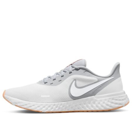 Nike Revolution 5 'Platinum Tint Grey Fog' BQ3204-019