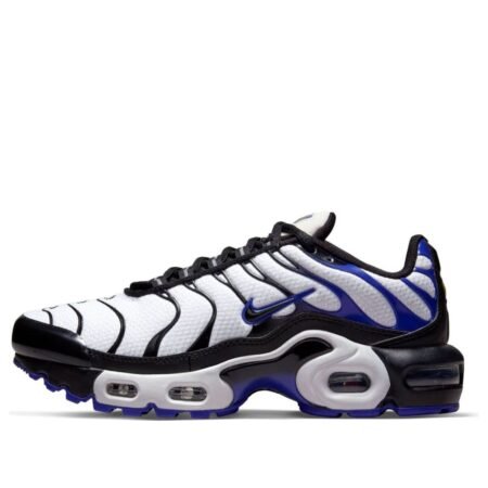 (GS) Nike Air Max Plus 'Persian Violet' CD0609-104