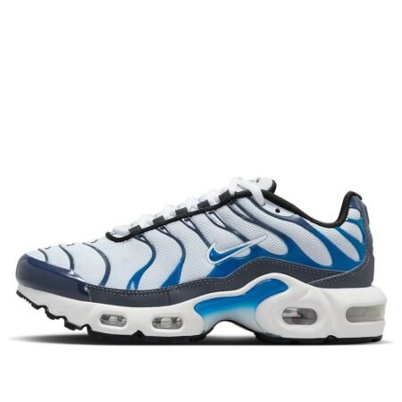 (GS) Nike Air Max Plus 'Thunder Blue Grey' CD0609-409