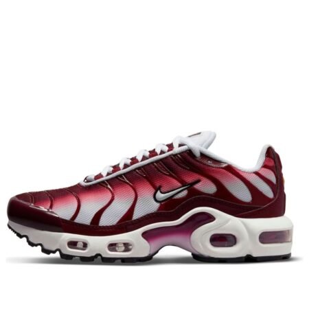 (GS) Nike Air Max Plus 'Dark Beetroot' CD0609-600
