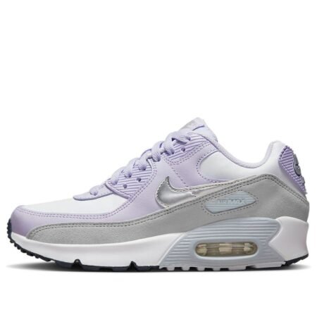 (GS) Nike Air Max 90 Leather 'Violet Frost' CD6864-123