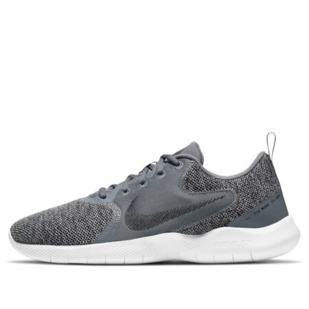 Nike Flex Experience Run 10 'Smoke Grey' CI9960-004