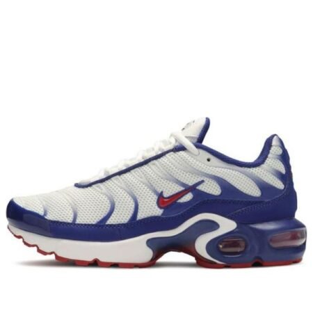 (GS) Nike Air Max Plus 'USA' CK0003-100