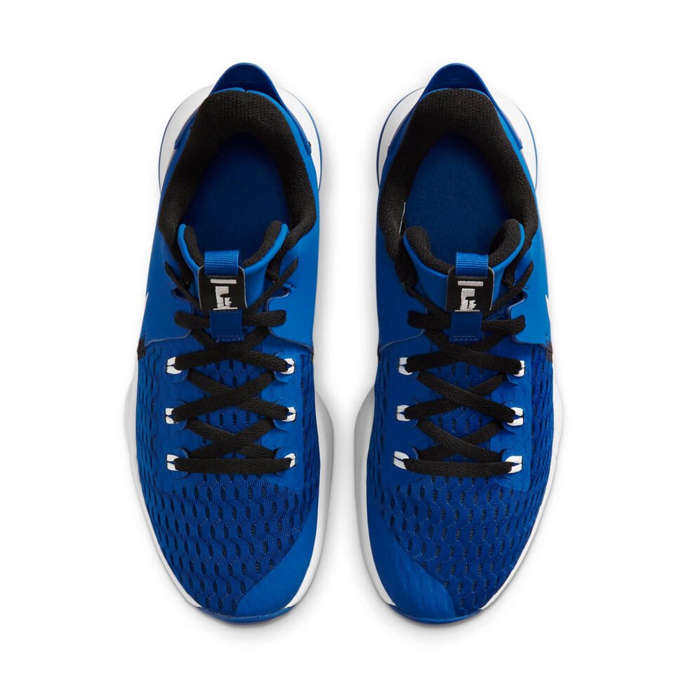 Nike LeBron Witness 5 'Game Royal' CQ9380-400 - Image 4