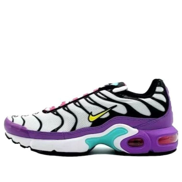 (GS) Nike Air Max Plus 'Bright Violet Multi' CQ9979-100