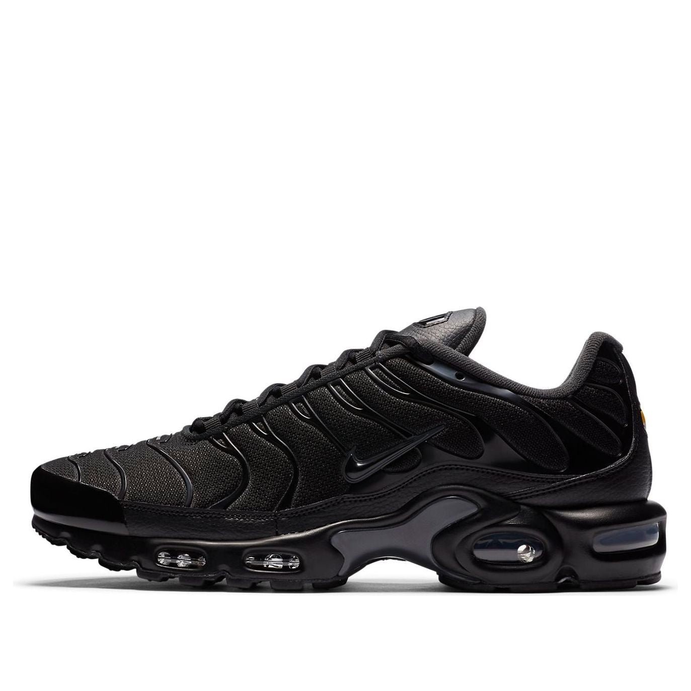 Nike Air Max Plus 'Black Dark Smoke Grey' CT1097-001