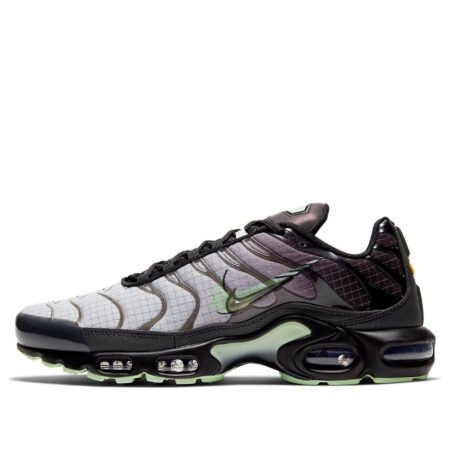 Nike Air Max Plus 'Future Swoosh' CT1619-001