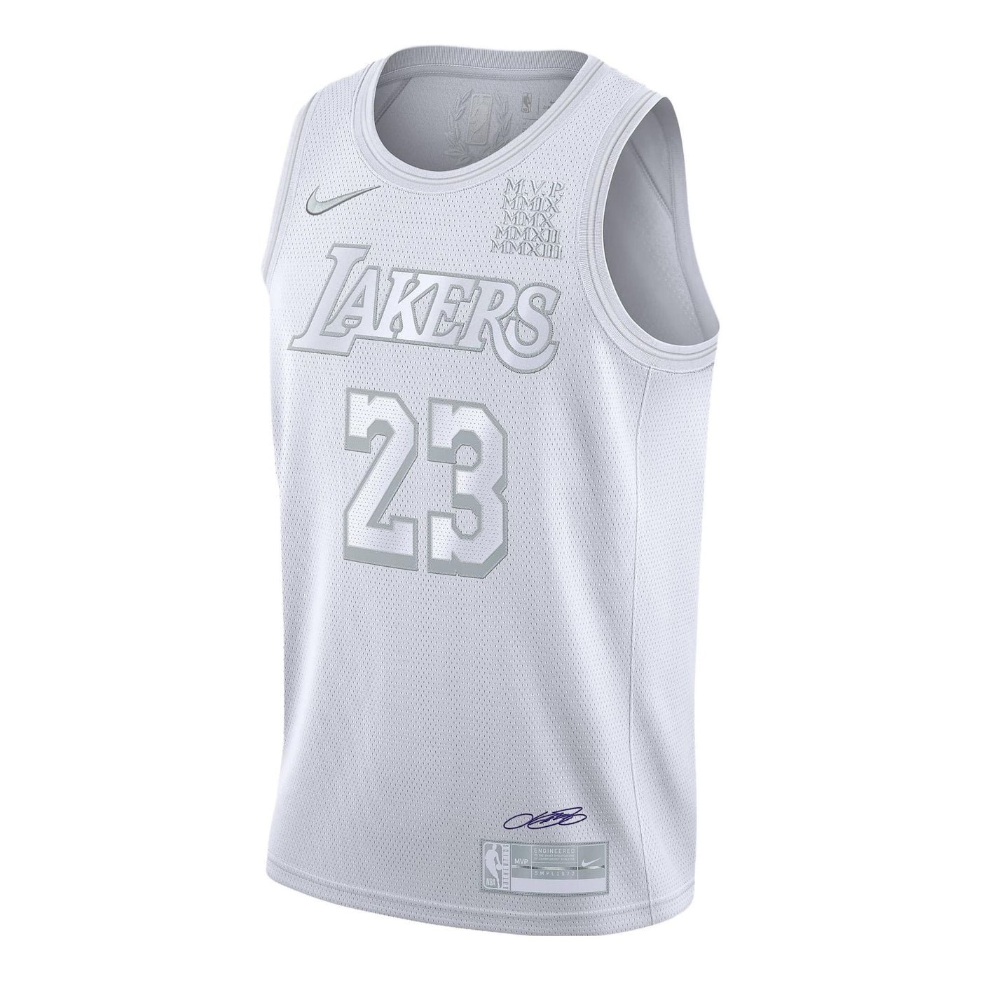 Nike NBA LeBron James Los Angeles Lakers 2021/22 MVP Jersey #23 CT4206-100