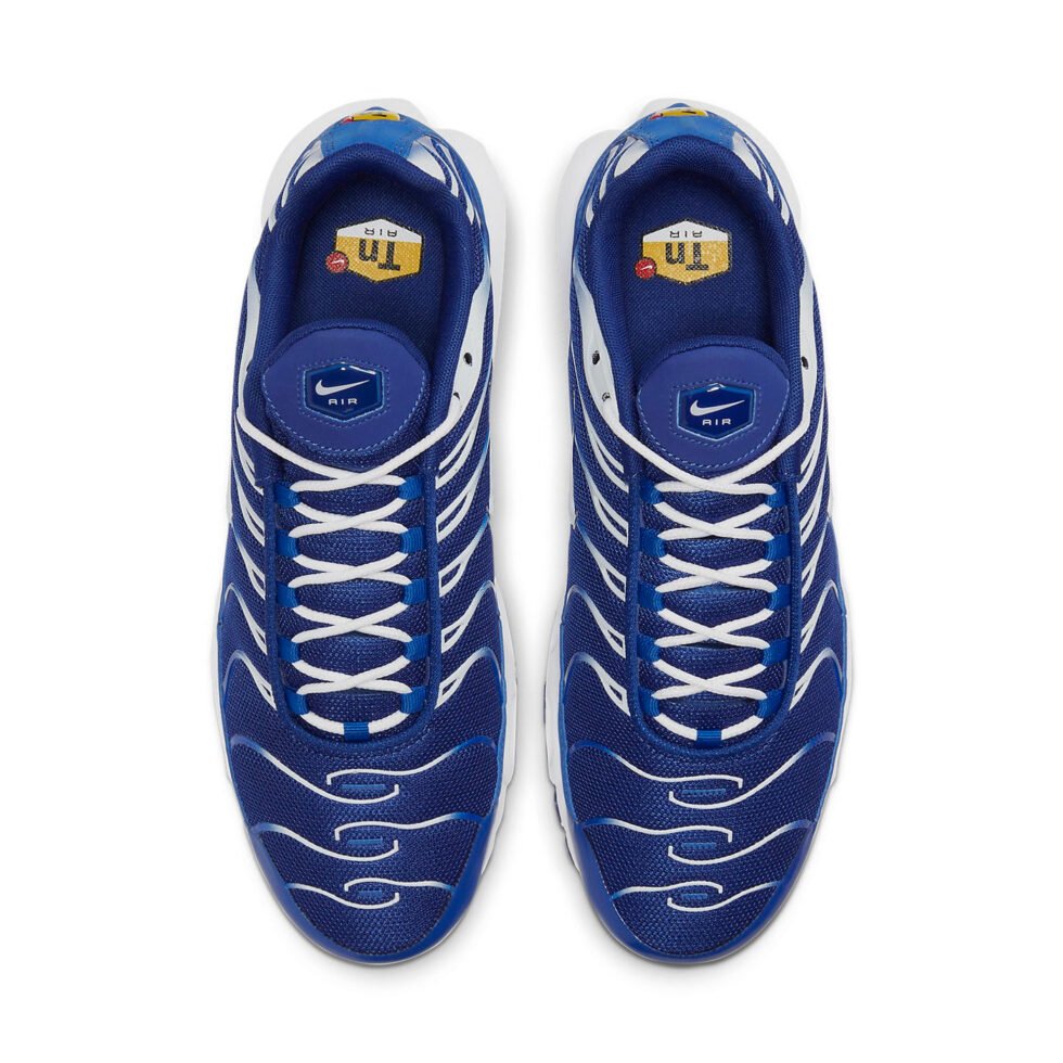 Nike Air Max Plus 'Arctic Chill' CW7024-400 - Image 4