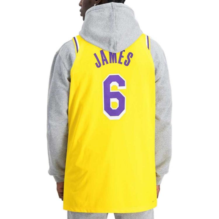 Nike x NBA LA Lakers Jerseys 'LeBron James 6' DB3317-730 - Image 4