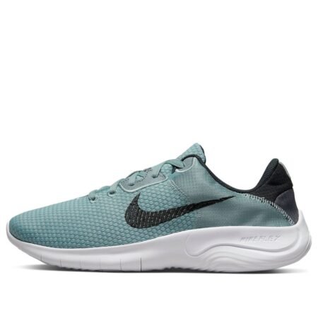 Nike Flex Experience Run 11 Next Nature 'Aviator Grey' DD9284-007