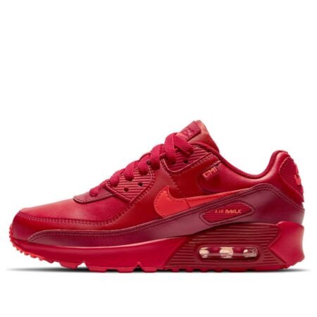 (GS) Nike Air Max 90 'City Special - Chicago' DH0149-600