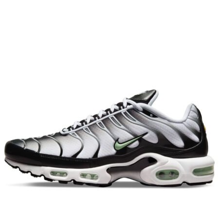 Nike Air Max Plus 'Seafoam' DH4776-100