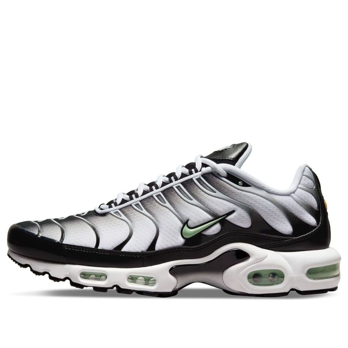 Nike Air Max Plus 'Seafoam' DH4776-100