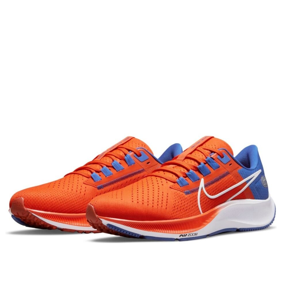 Nike Air Zoom Pegasus 38 'Florida' DJ0826-800 - Image 3