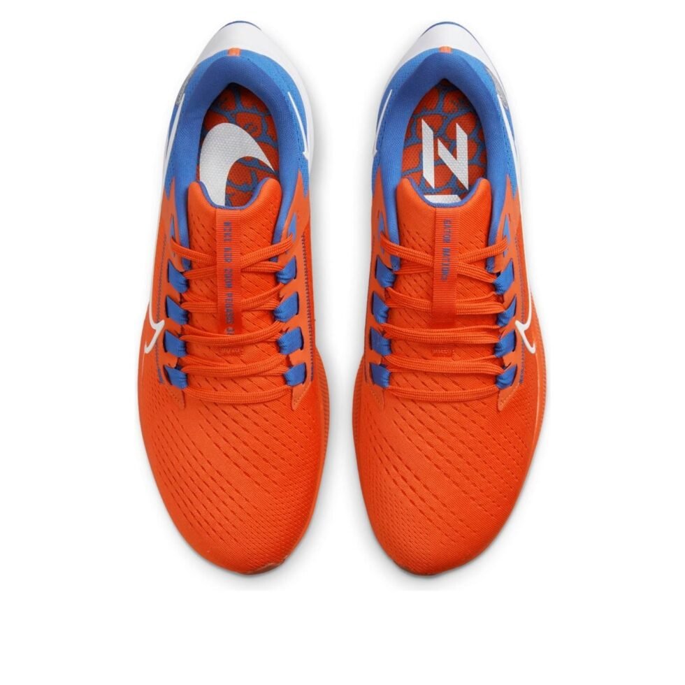 Nike Air Zoom Pegasus 38 'Florida' DJ0826-800 - Image 4