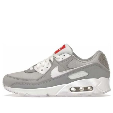(WMNS) Nike Air Max 90 'Light Smoke Grey' DJ1494-001