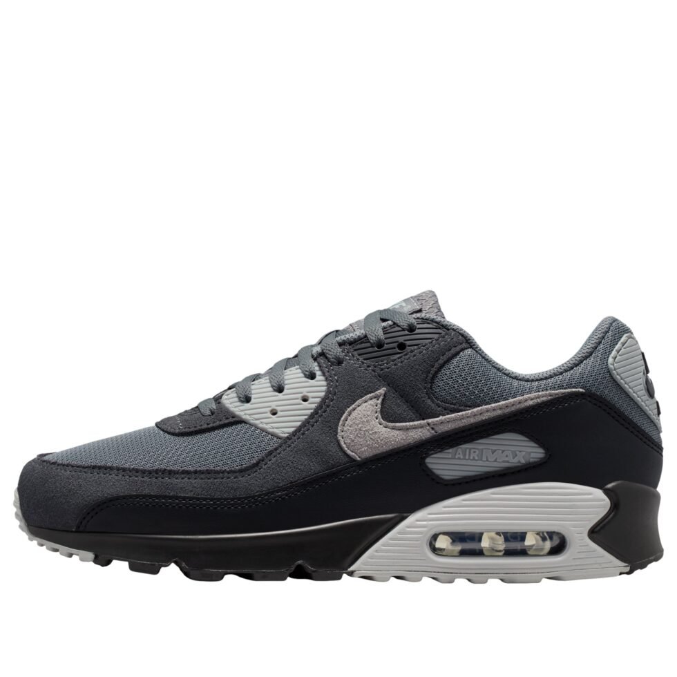 Nike Air Max 90 'Smoke Grey Black Photon Dust' DM0029-020