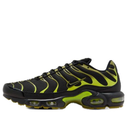 Nike Air Max Plus 'Pacific Moss' DM0032-010