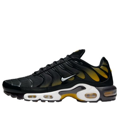 Nike Air Max Plus 'Black University Gold' DM0032-013