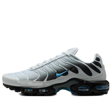 Nike Air Max Plus 'Grey University Blue Black' DM0032-015