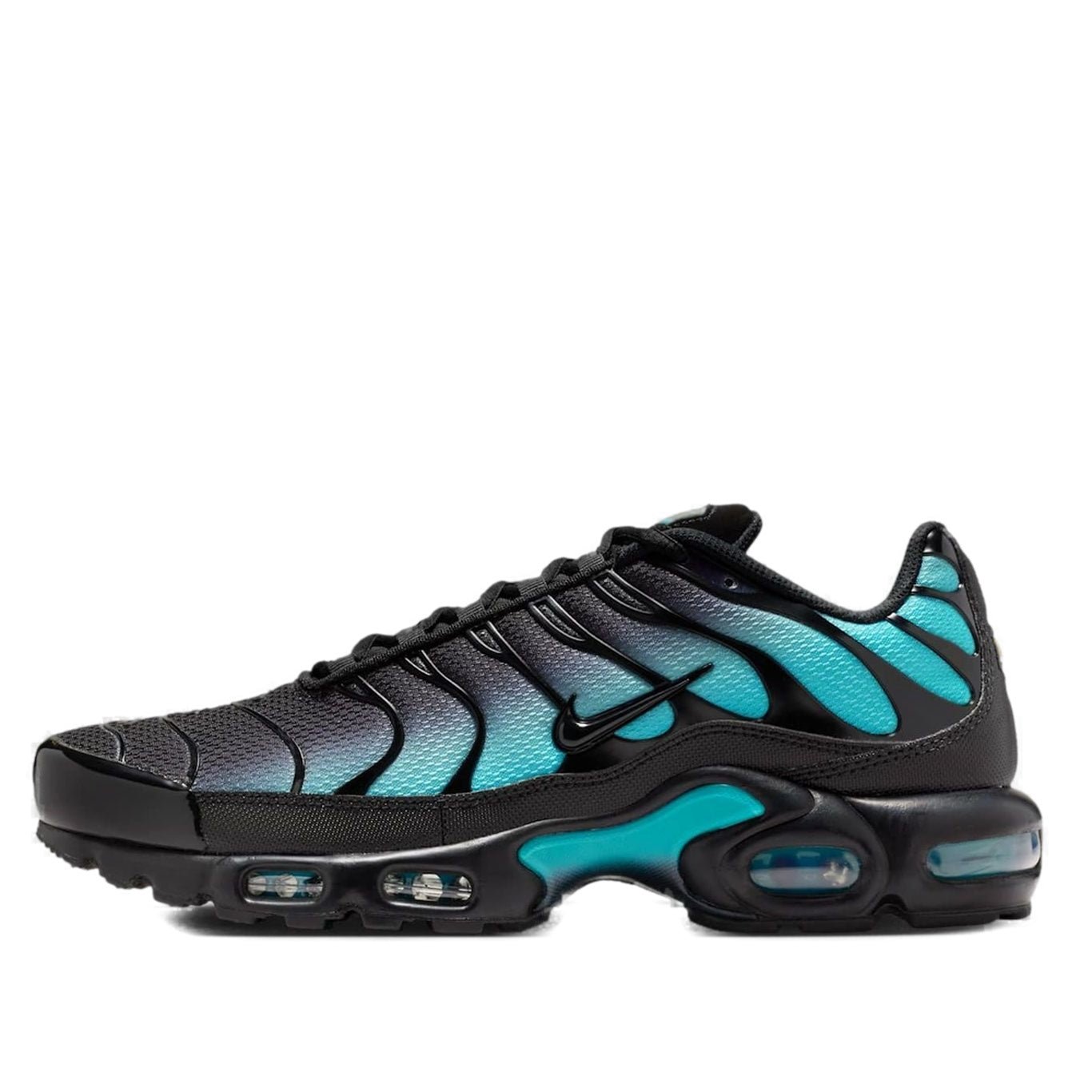 Nike Air Max Plus 'Black Dusty Cactus' DM0032-016