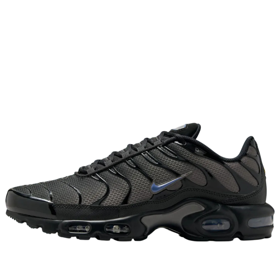 Nike Air Max Plus 'Dark Smoke Grey' DM0032-018