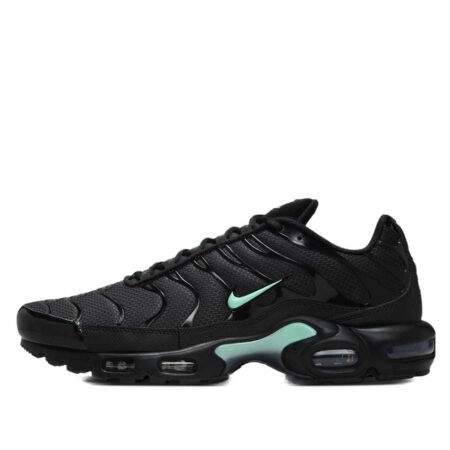 Nike Air Max Plus 'Black Mint Green' DM0032-029