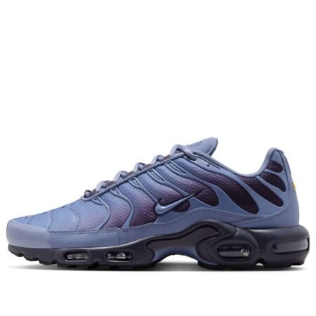 Nike Air Max Plus 'World Indigo' DM0032-404