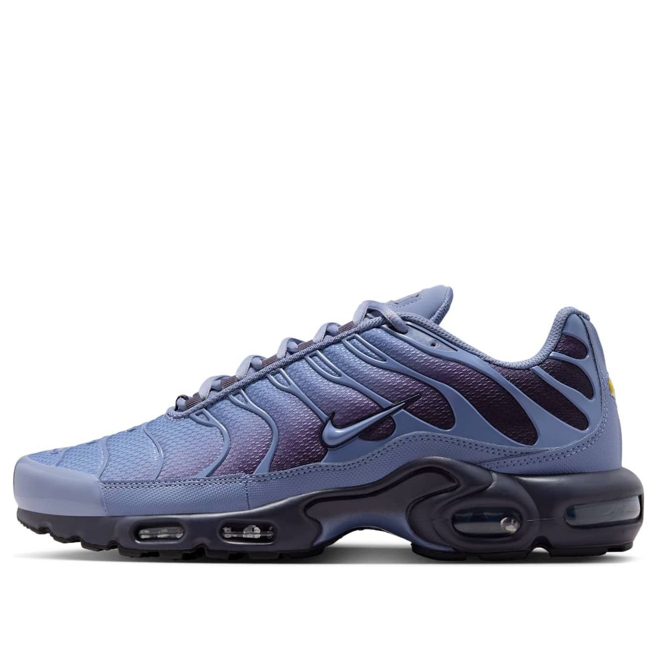 Nike Air Max Plus 'World Indigo' DM0032-404