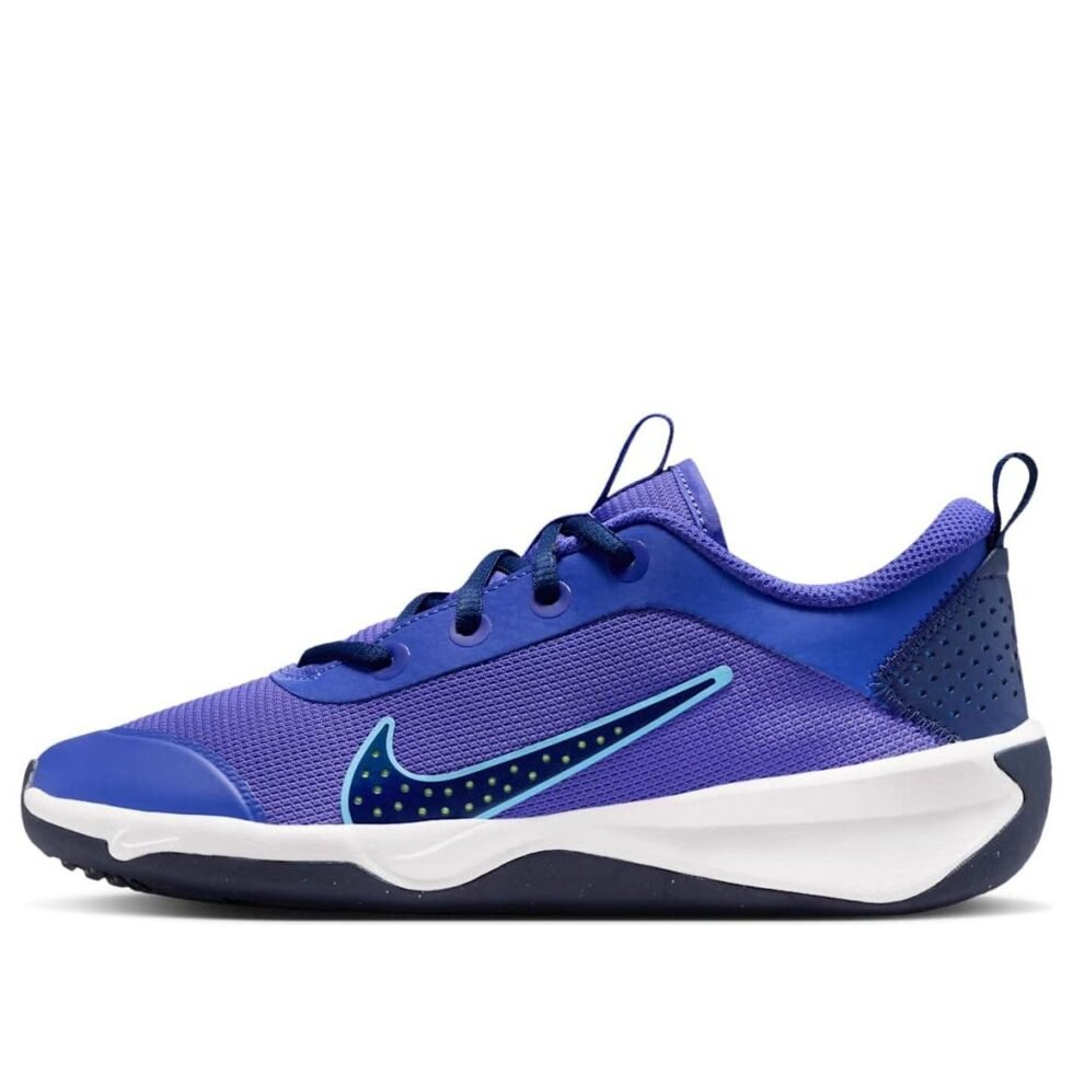 (GS) Nike Omni Multi-Court GS 'Persian Violet' DM9027-500