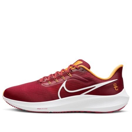 Nike Air Zoom Pegasus 39 'USC' DR1978-600